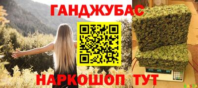 стаф Дубна