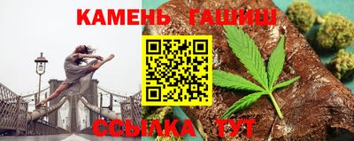 стаф Дубна