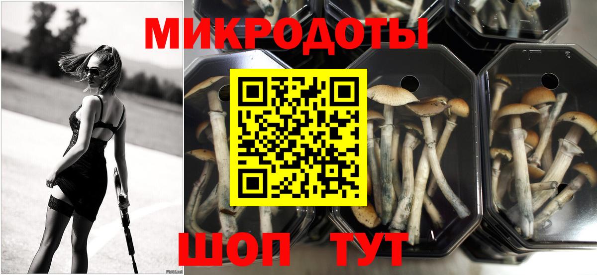 Краснокаменск  Псилоцибиновые грибы ЛСД  Вход с VPN 